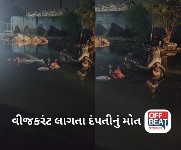 નારોલની મટનગલીમાં વીજકરંટ લાગતા દંપતીનું કરુણ મોત