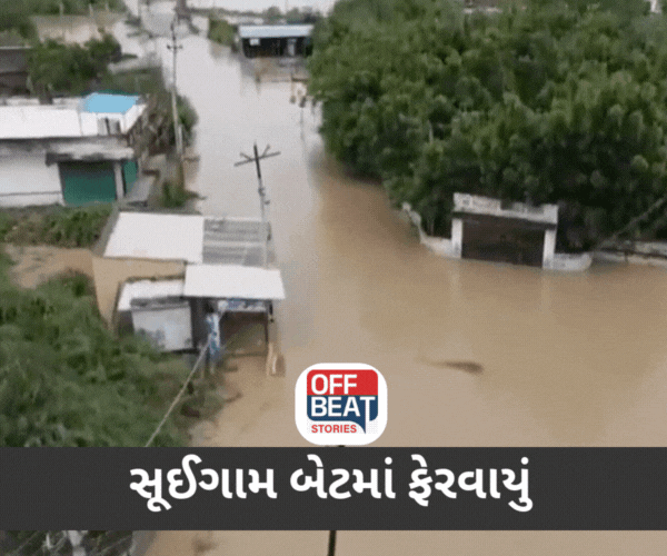 બનાસકાંઠાનાં અસરગ્રસ્ત વિસ્તારોમાં ડોર ટુ ડોર સર્વે હાથ ધરાયો