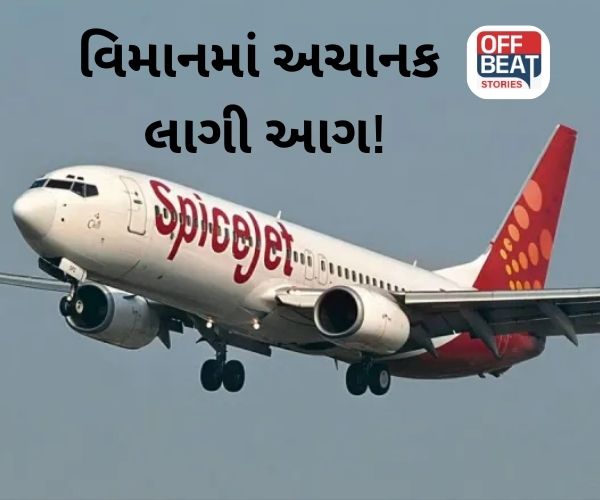 કાઠમંડુ જઈ રહેલા વિમાનમાં લાગી આગ