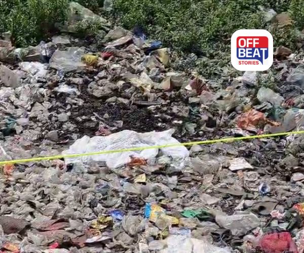 સુરતમાં ધડથી અલગ માથું મળ્યું!