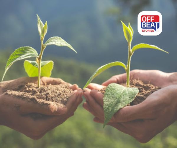 આ 5 ચીજોની ખેતી બનાવશે માલામાલ