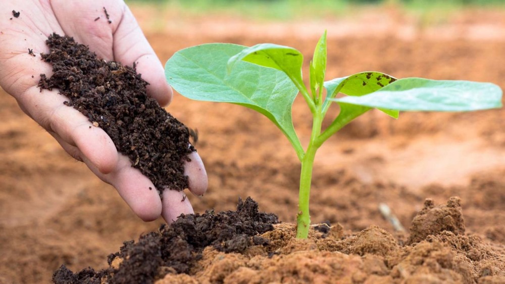 ગુજરાત સરકારની આ યોજનાનો લાભ લેવા તાત્કાલિક કરો અરજી