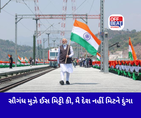 સંઘર્ષ, સંકલ્પ અને સર્જનાત્મકતા