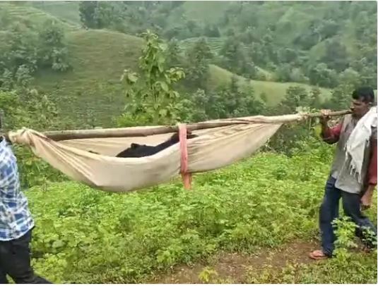 તુરખેડામાં રસ્તાના અભાવે પ્રસૂતાનું કરુણ મોત