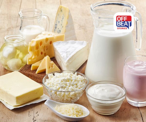 GST ઘટાડા બાદ ડેરી પ્રોડક્ટમાં મોટો ઘટાડો