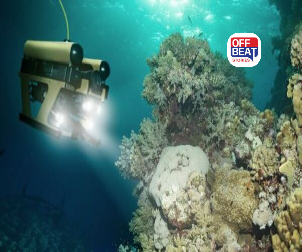 વિશ્વના સમુદ્રોમાં છે લાખો ટન સોનું