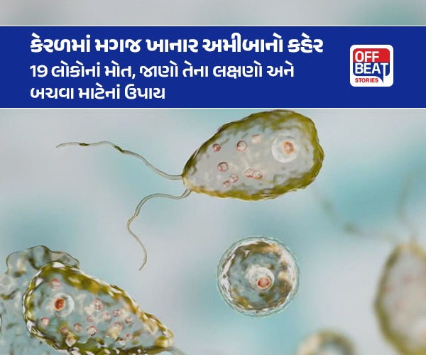 કેરળમાં મગજ ખાનાર અમીબાનો કહેર