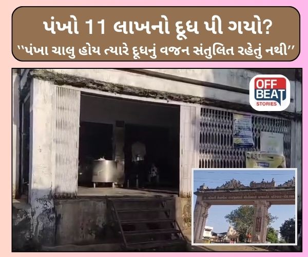 વડગામના કોદરામ ગામમાં 11 લાખ રૂપિયાના દૂધની ઘટ?