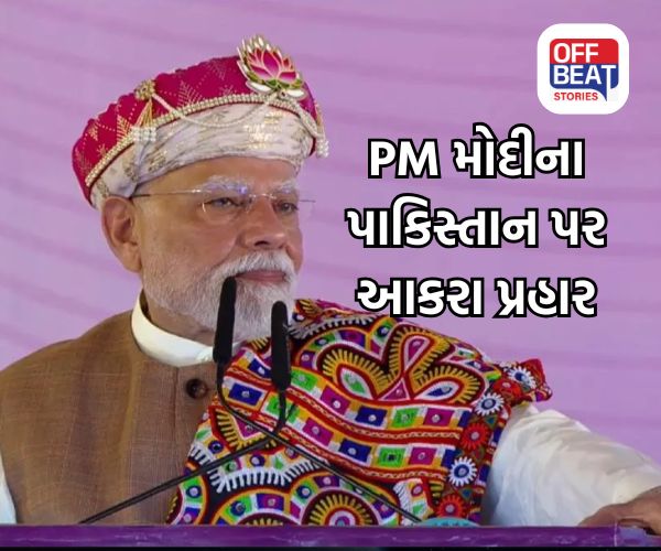 "આતંકવાદી ઠેકાણાં ઉડાવી દીધા, જૈશે પણ સ્વીકાર્યું..."