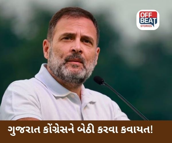 રાહુલ ગાંધી ફરી આવશે ગુજરાત પ્રવાસે