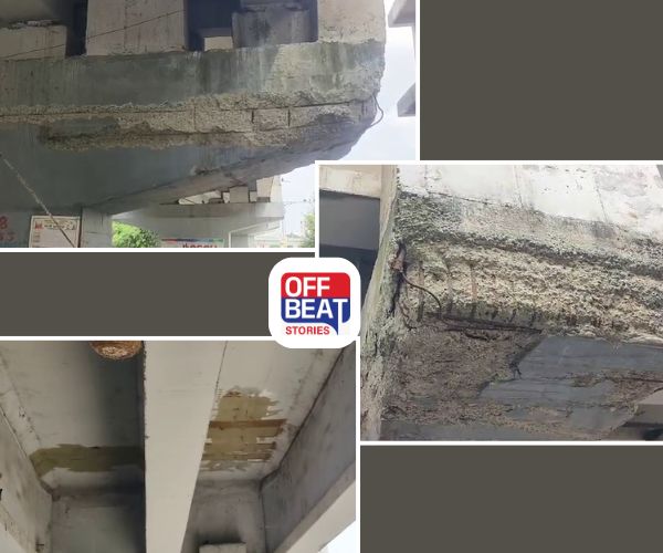 સુરેન્દ્રનગરમાં નવા બનેલા બ્રિજમાં સળિયા દેખાતા સ્થાનિકોમાં ભય