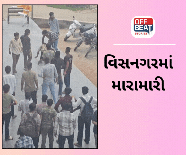 વિસનગરમાં ગેલેક્સી માર્કેટ નજીક ગંભીર મારામારી