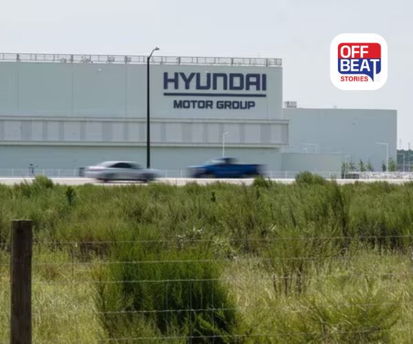 Hyundaiએ કર્મચારીઓને આપી શાનદાર ઓફર,