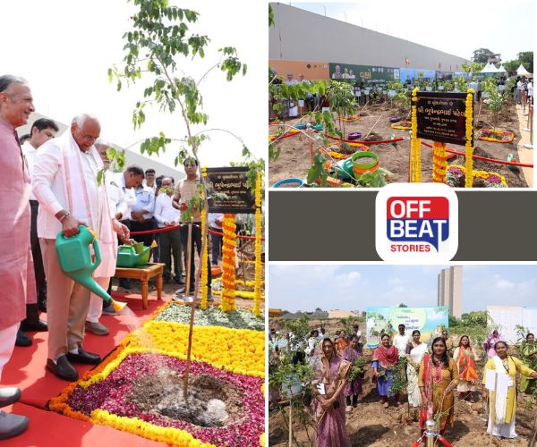 'મિશન ફોર મિલિયન ટ્રીઝ'