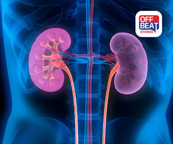 કિડની માટે ખૂબ જ જોખમી છે આ ફૂડ્સ