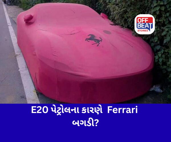 'નીતિન ગડકરી લેશે જવાબદારી?'