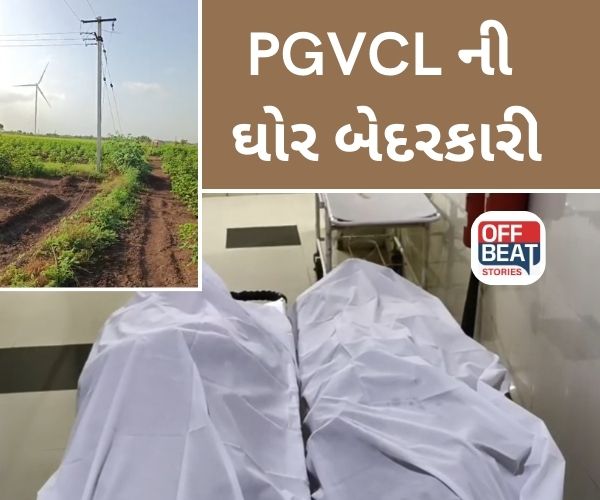 જામ ખંભાળિયા પંથકમાં PGVCLની ઘોર બેદરકારી