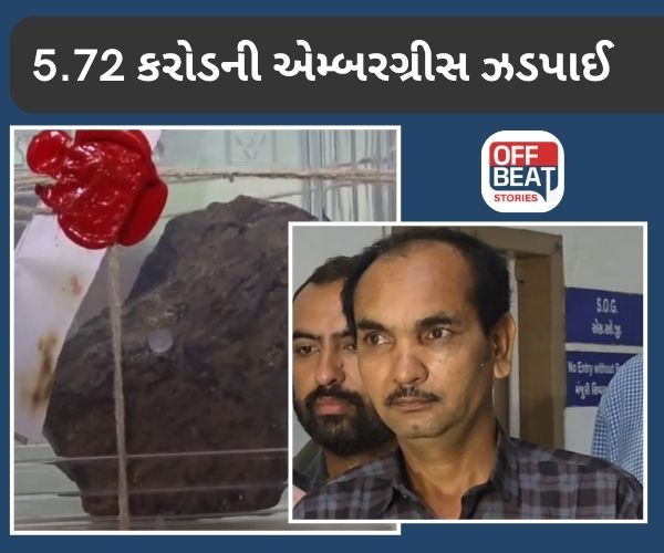 સુરતમાં દરિયાનું 'તરતું સોનું' વેચવા ફરતો ખેડૂત ઝડપાયો