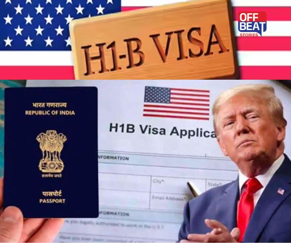ડોનાલ્ડ ટ્રમ્પે રાતોરાત H-1B વિઝા ફી કેમ વધારી ?