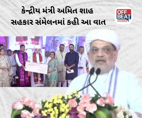 ''જયેશ રાદડિયાએ આ આયોજન કરી...''