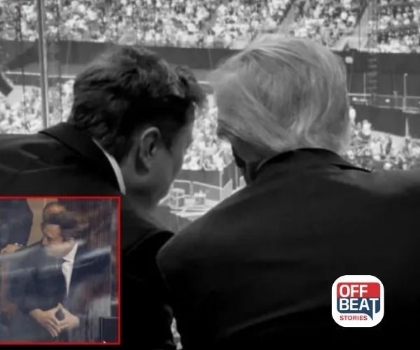 શું ટ્રમ્પ અને મસ્ક ફરી એક થશે?