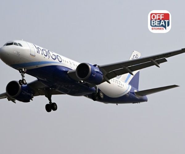 ઉંદરે ઇન્ડિગોની દિલ્હી-કાનપુર ફ્લાઇટ અટકાવી