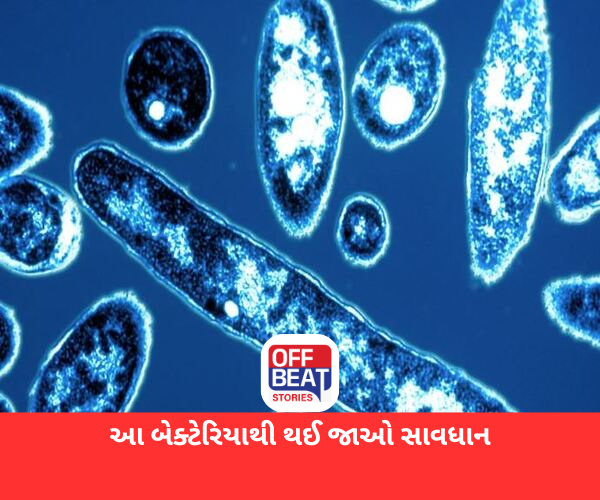 2 દિવસમાં દેખાય છે લક્ષણ, 10 દિવસમાં થાય છે મૃત્યુ