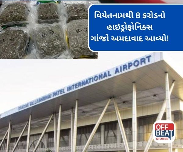 અમદાવાદ એરપોર્ટ પરથી વિયેતનામથી આવેલા મુસાફરો પાસેથી ગાંજો ઝડપાયો