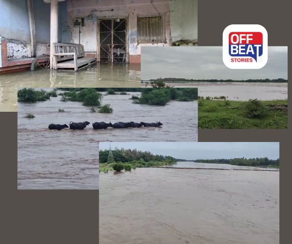 નવસારીમાં ભારે વરસાદથી જનજીવન અસરગ્રસ્ત