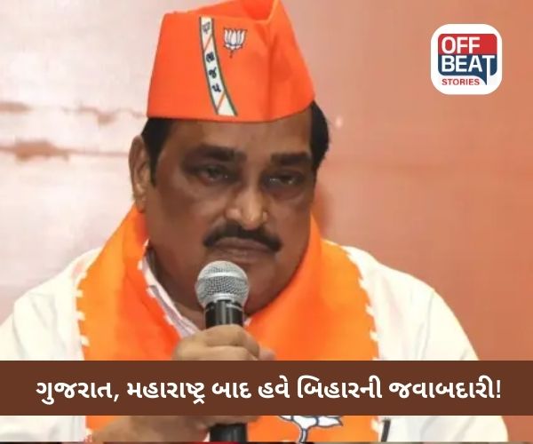 સી આર પાટીલને સોંપાઈ મોટી જવાબદારી!