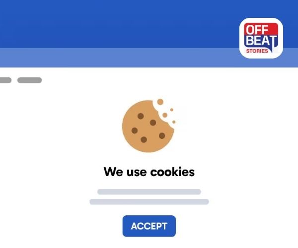 વેબસાઇટની કૂકીઝ શું છે અને તે કેવી રીતે કાર્ય કરે છે?