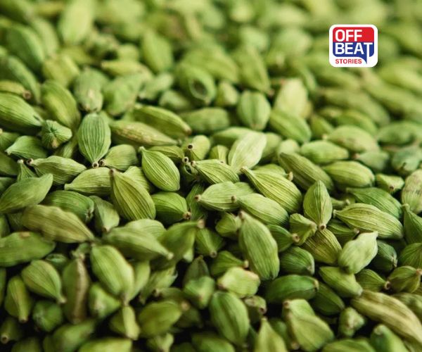 ખાલી પેટે ચાવો લીલી ઈલાયચી