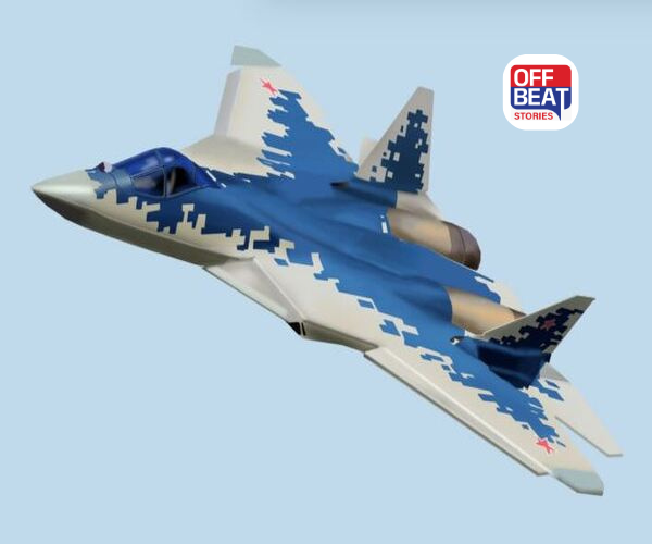 પુતિનના ભારત પ્રવાસ પર મળી શકે છે સારા સમાચાર