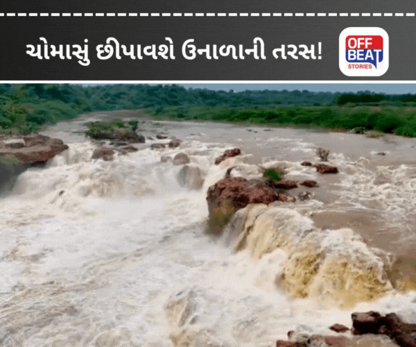 રાજ્યમાં મોસમનો કુલ સરેરાશ વરસાદ 115 ટકા નોંધાયો