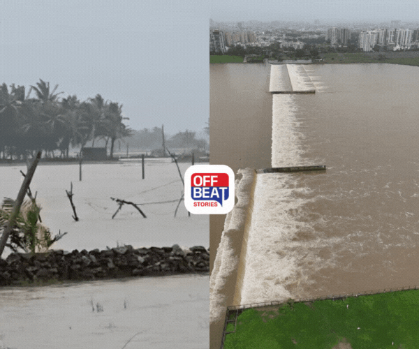 જતા ચોમાસે જમાવટ!