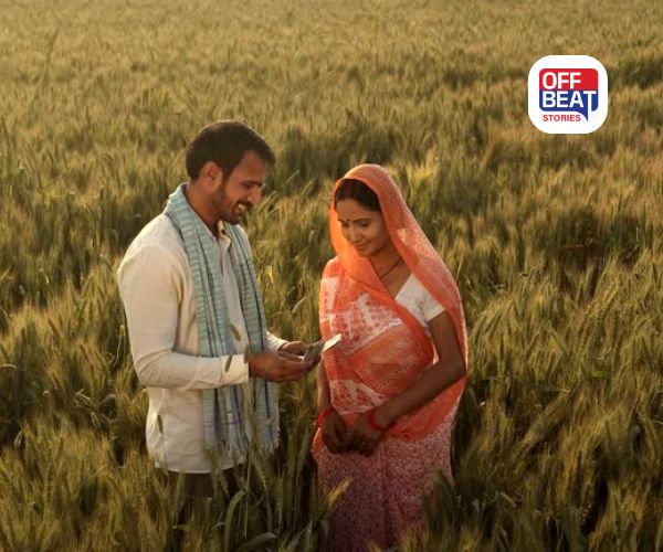 બાજરી, જુવાર તથા રાગીમાં ટેકાના ભાવ ઉપરાંત મળશે બોનસ!