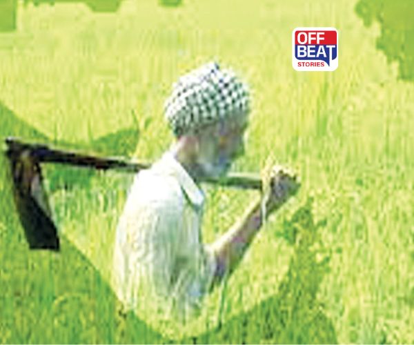 ગુજરાતના બાગાયત ક્ષેત્રની સિદ્ધિઓ ઉજાગર