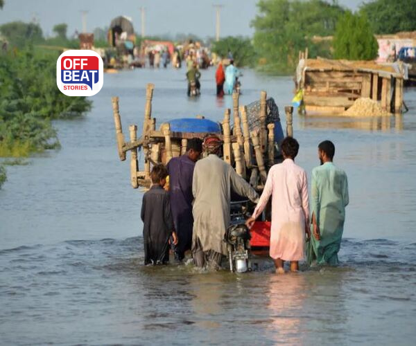 પાકિસ્તાનમાં પૂરથી 371 અરબ રૂપિયાનું નુકસાન