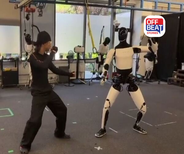 TESLAનો રોબોટ શીખી રહ્યો છે Kung Fu