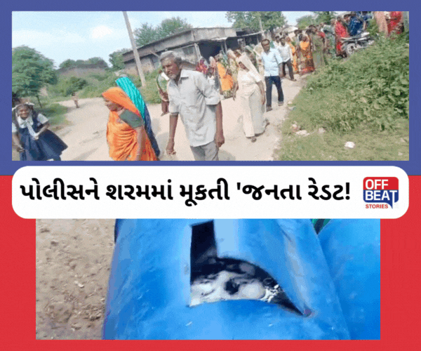 વાહ રે પોલીસ! રણસીપુરમાં દેશી દારૂના અડ્ડાઓ પર 'જનતા રેડ'