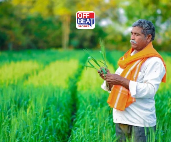 PM ધન ધાન્ય કૃષિ યોજના હેઠળ 100 જિલ્લાઓની પસંદગી