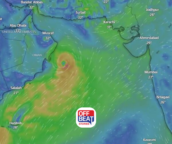 ચોમાસાની વિદાય છતાં વરસાદી માહોલ
