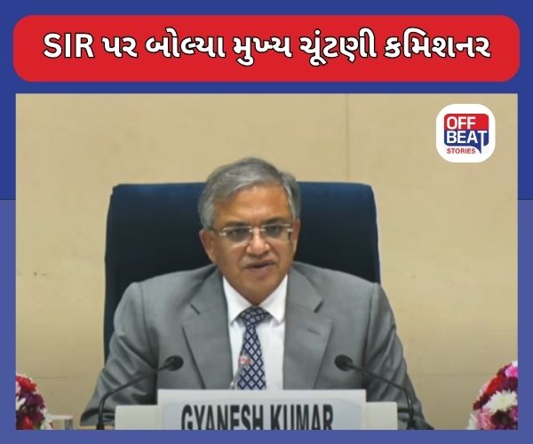 Bihar Election 2025 જાહેર