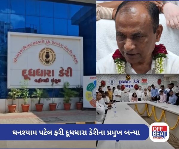 ભરૂચ દૂધધારા ડેરીની કમાન ફરી ઘનશ્યામ પટેલના હાથમાં
