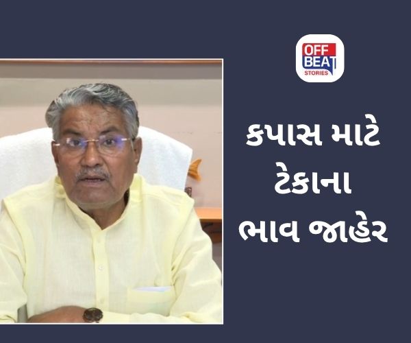 ભારત સરકારે કપાસ માટે ટેકાનો ભાવ જાહેર કર્યો