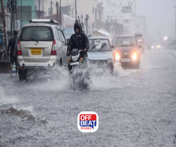 ગુજરાતમાં ફરી વરસાદી માહોલ