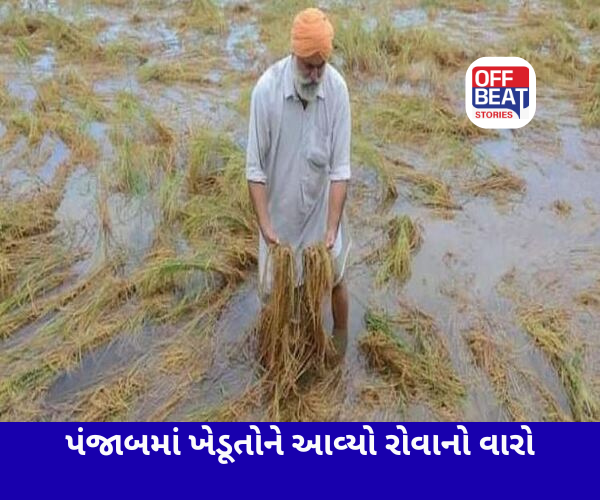 પંજાબમાં તૂટ્યો વરસાદનો 70 વર્ષનો રેકોર્ડ