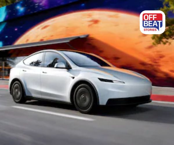 Tesla એ Model Y નું સૌથી સસ્તું વર્ઝન લોન્ચ કર્યું