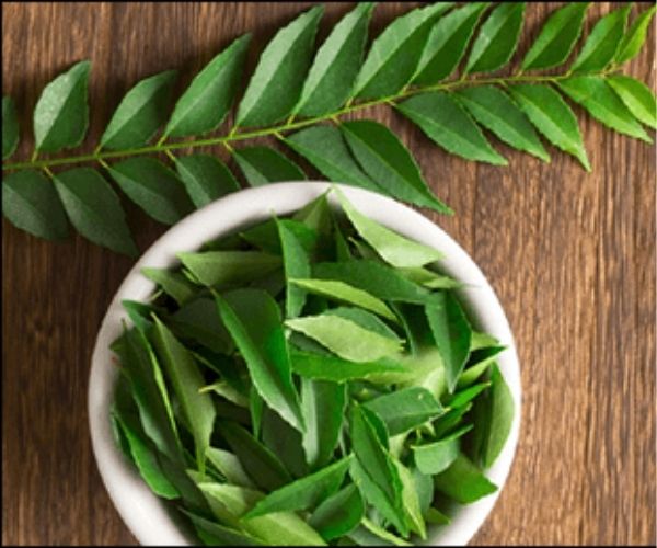 ખાલી પેટ મીઠો લીમડો ખાવાથી શું થાય છે?