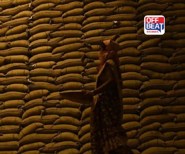 પંજાબના ગોદામોમાં ગંભીર ગેરરીતિ